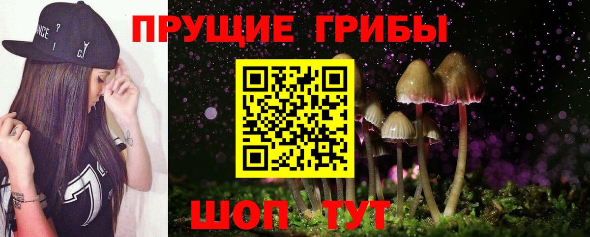 Псилоцибиновые грибы ЛСД Горячий Ключ