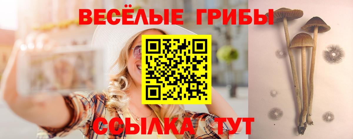 Галлюциногенные грибы Psilocybine cubensis  сколько стоит  Галлюциногенные грибы MAGIC MUSHROOMS  Горячий Ключ  Вход с VPN 