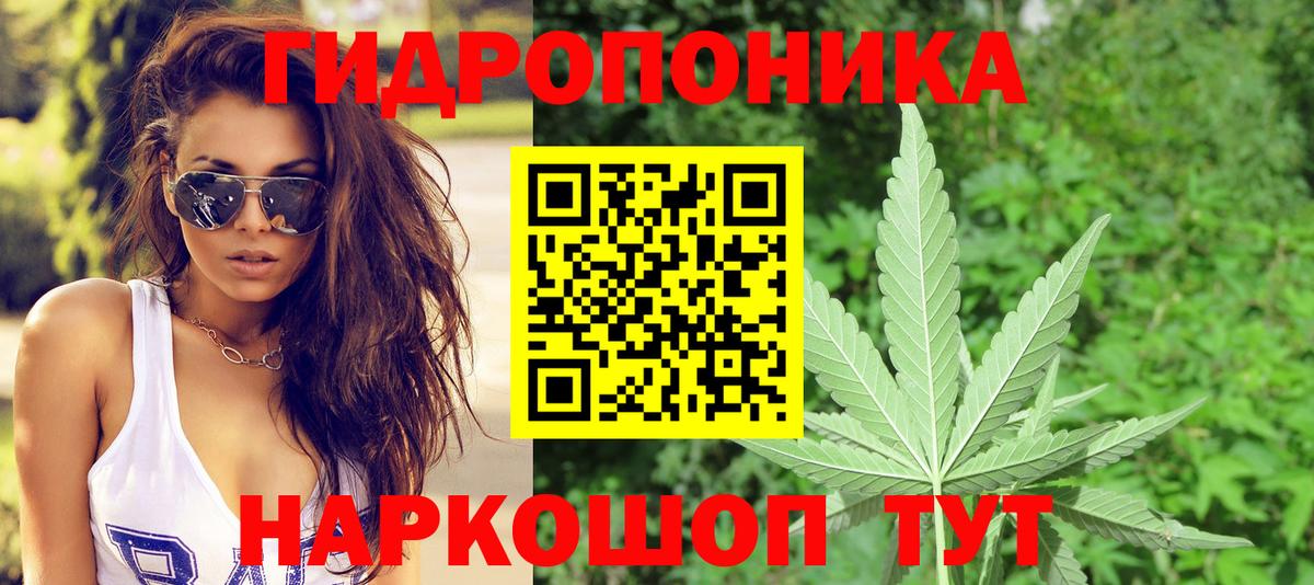 Горячий Ключ  Бошки Шишки план  Марихуана марихуана  Каннабис Bruce Banner  Вход с VPN 